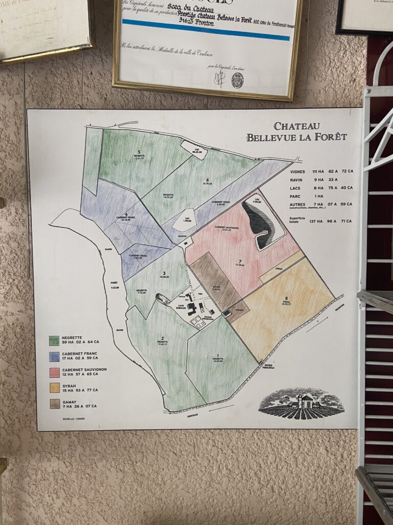 Carte du château Bellevue La Forêt.